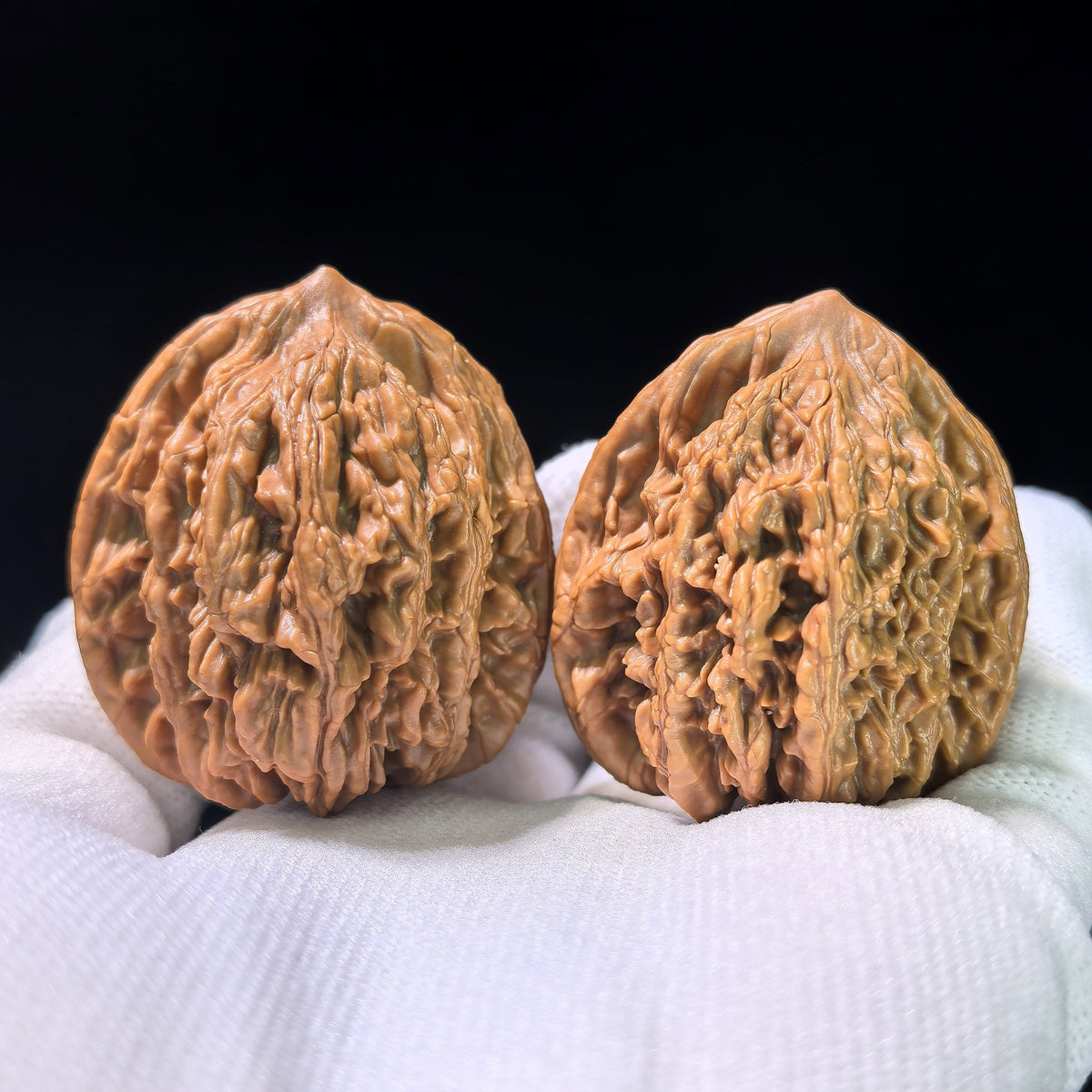 The "Wheat Ear" Tiger Head (Maisui Hutou) Matched Pair | 39.0mm x 38.0mm | MSHT-1203C - ThePatinaProject