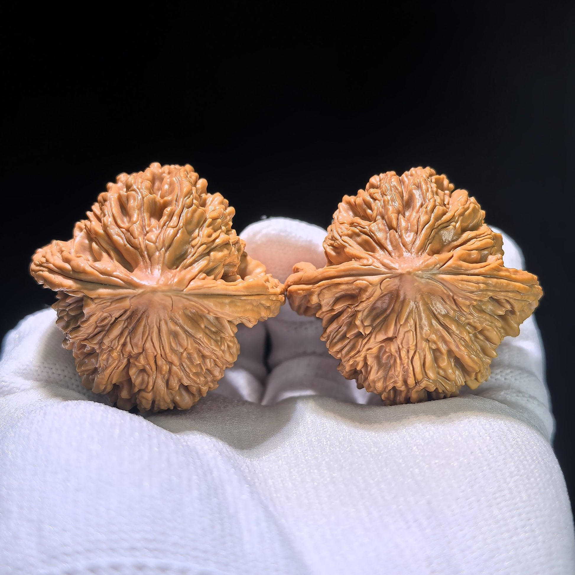 The "Wheat Ear" Tiger Head (Maisui Hutou) Matched Pair | 43.0mm x 42.0mm | MSHT-1204C - ThePatinaProject