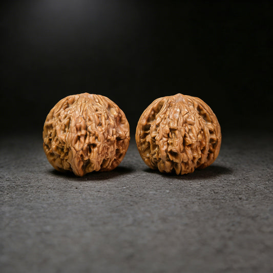 The "Wheat Ear Tiger" (Mai Sui Hu Tou) Pair | Collector Grade | 45.0mm x 44.0mm | MSHT-401C - ThePatinaProject