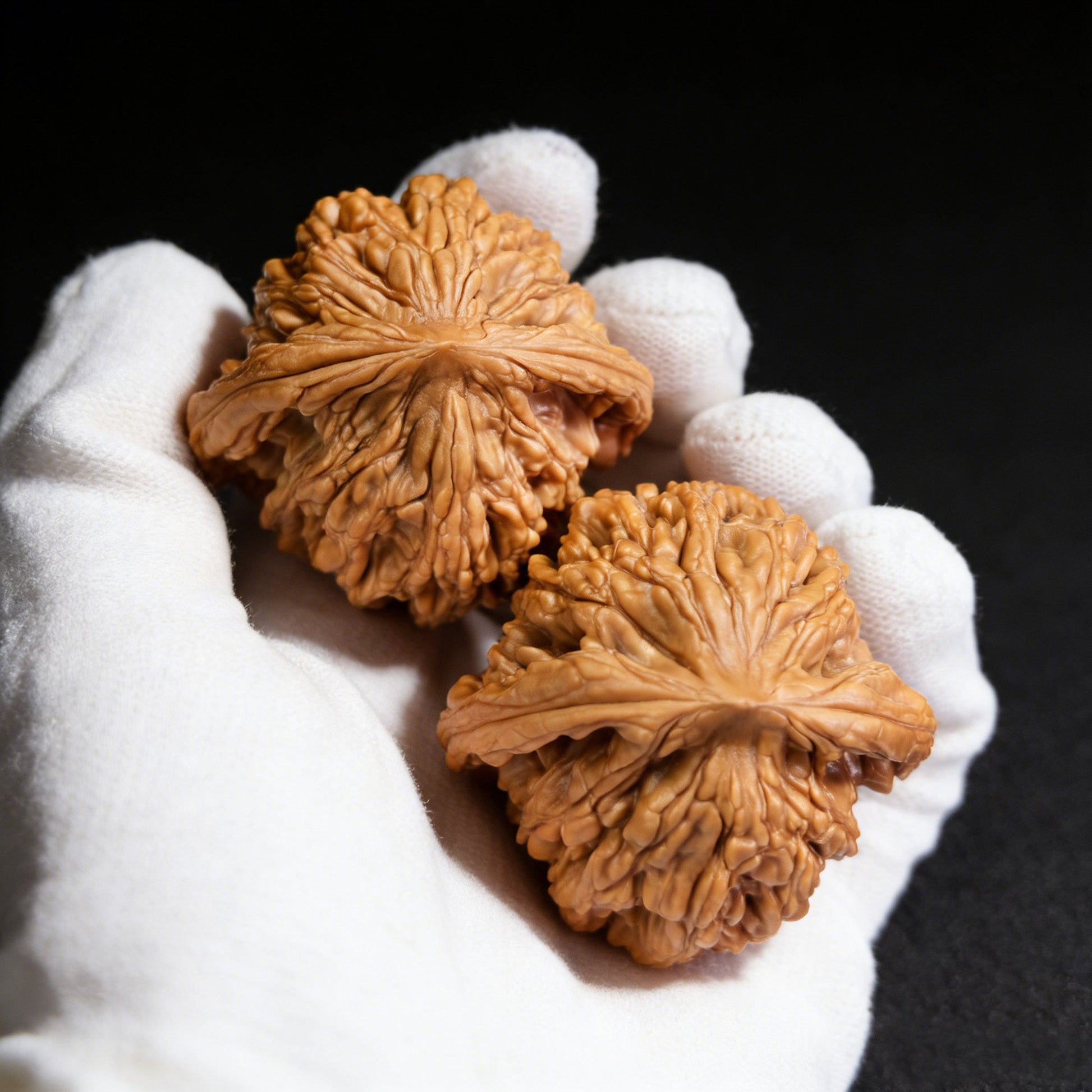 The "Wheat Ear Tiger" (Mai Sui Hu Tou) Pair | Collector Grade | 45.0mm x 44.0mm | MSHT-401C - ThePatinaProject