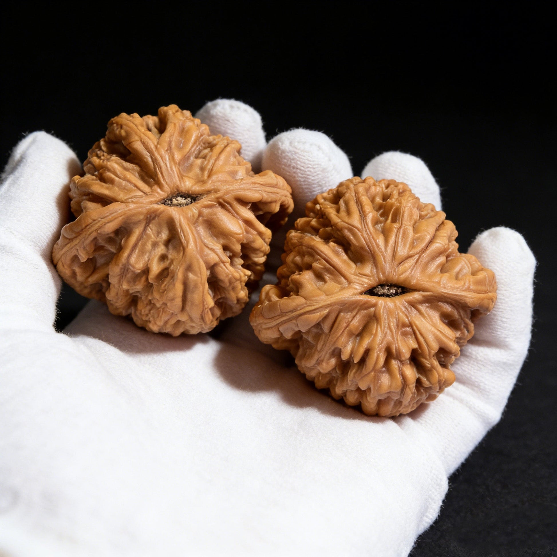 The "Wheat Ear Tiger" (Mai Sui Hu Tou) Pair | Collector Grade | 45.0mm x 44.0mm | MSHT-401C - ThePatinaProject