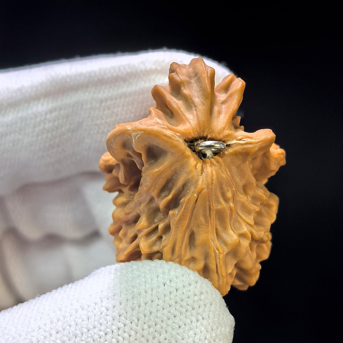 The Whimsical "Little Bird Pendant" Xiao_niao Diaozhui Pocket Singularity | 27.0mm x 36.0mm | XNDZ-401E - ThePatinaProject