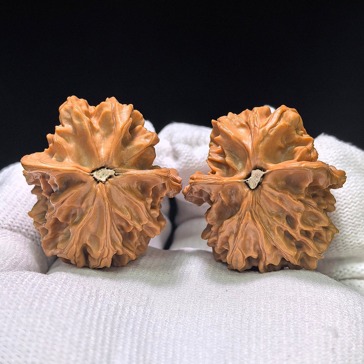 The Whimsical "Mandarin Duck Little Bird" Yuanyang Xiaoniao Pocket Singularity | 35.0mm x 35.0mm | YXXL-405E - ThePatinaProject