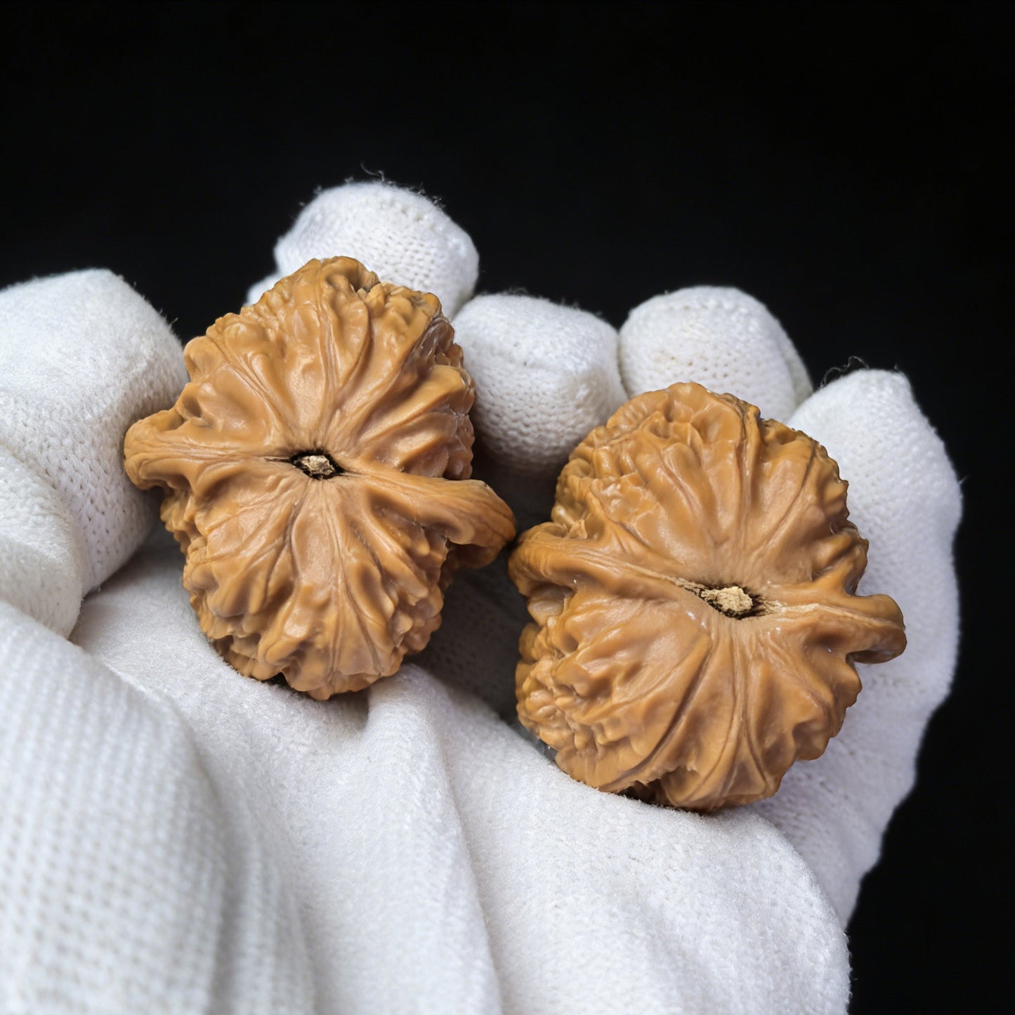 The "White Lion" (Bai Shi Zi) Pair | 36.0mm x 33.0mm | BSJ-1001 - ThePatinaProject