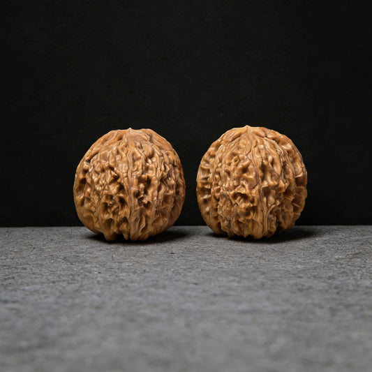 The "White Lion" (Bai Shi Zi) Pair | 37.0mm x 34.0mm | BSJ-1003 - ThePatinaProject