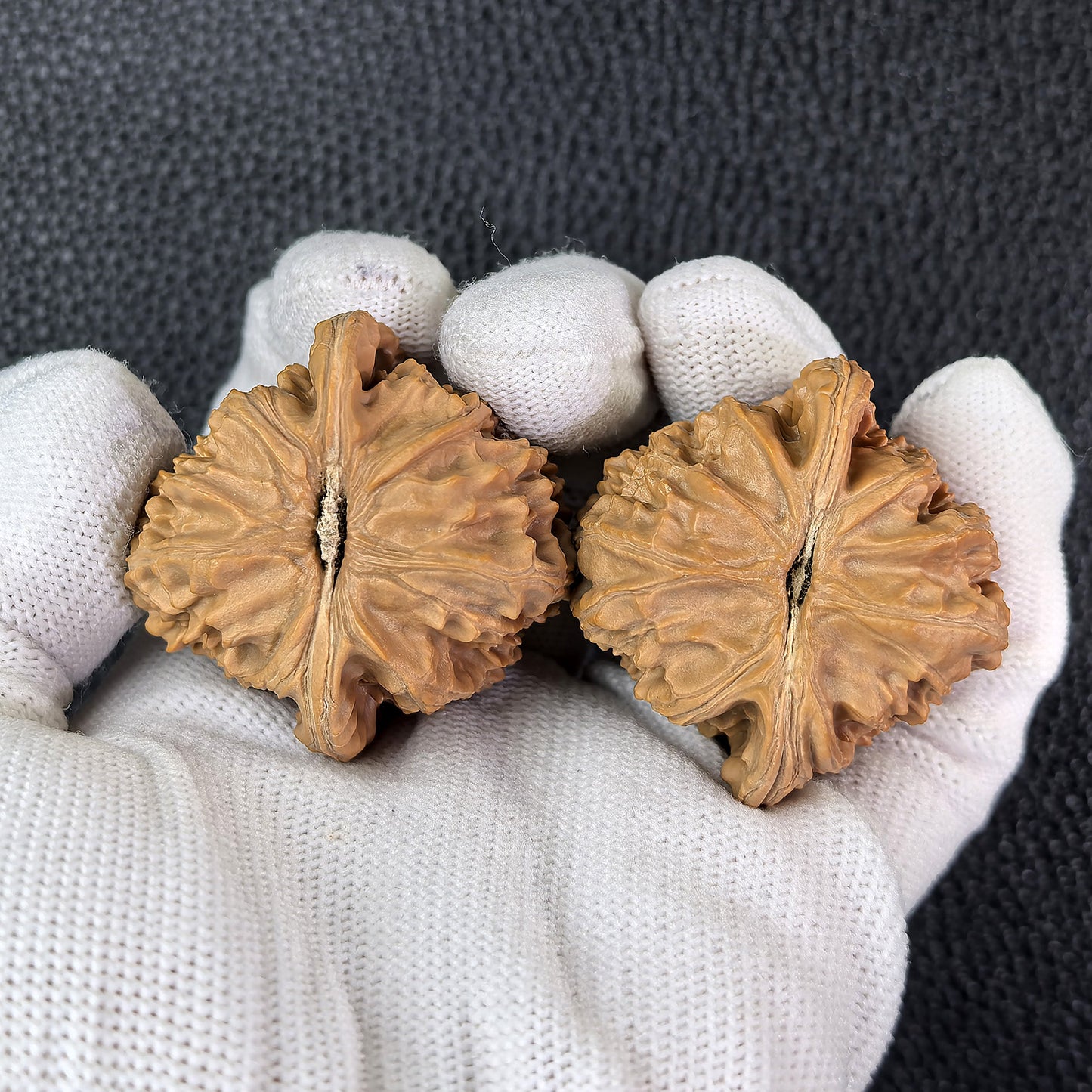The "White Lion" (Bai Shi Zi) Pair | 40.0mm x 39.0mm | BSJ-405 - ThePatinaProject