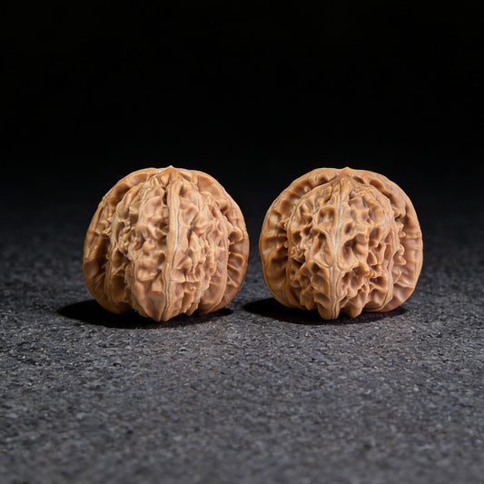 The "White Lion" (Bai Shi Zi) Pair | 40.0mm x 39.0mm | BSJ-405 - ThePatinaProject