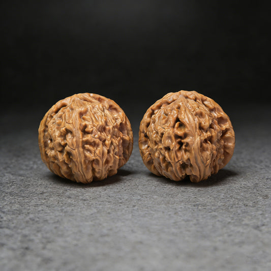 The "White Lion" (Bai Shi Zi) Pair | Boutique Grade | 39.0mm x 43.0mm | BSJ-401Cc - ThePatinaProject