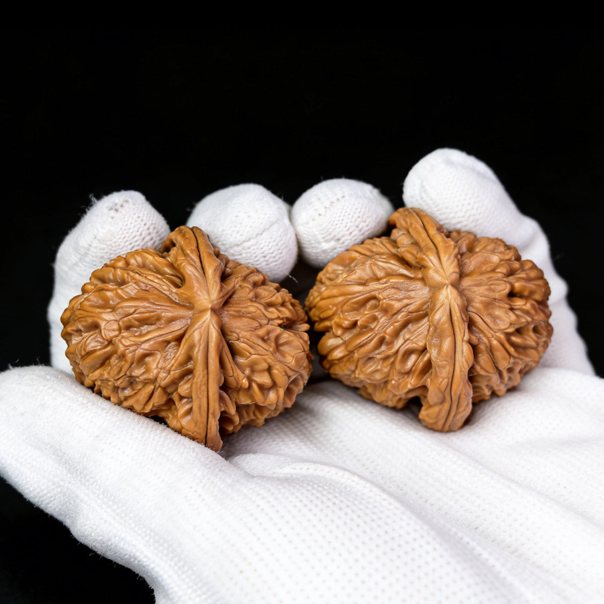 The "White Lion" (Bai Shi Zi) Pair | Boutique Grade | 39.0mm x 43.0mm | BSJ-401Cc - ThePatinaProject