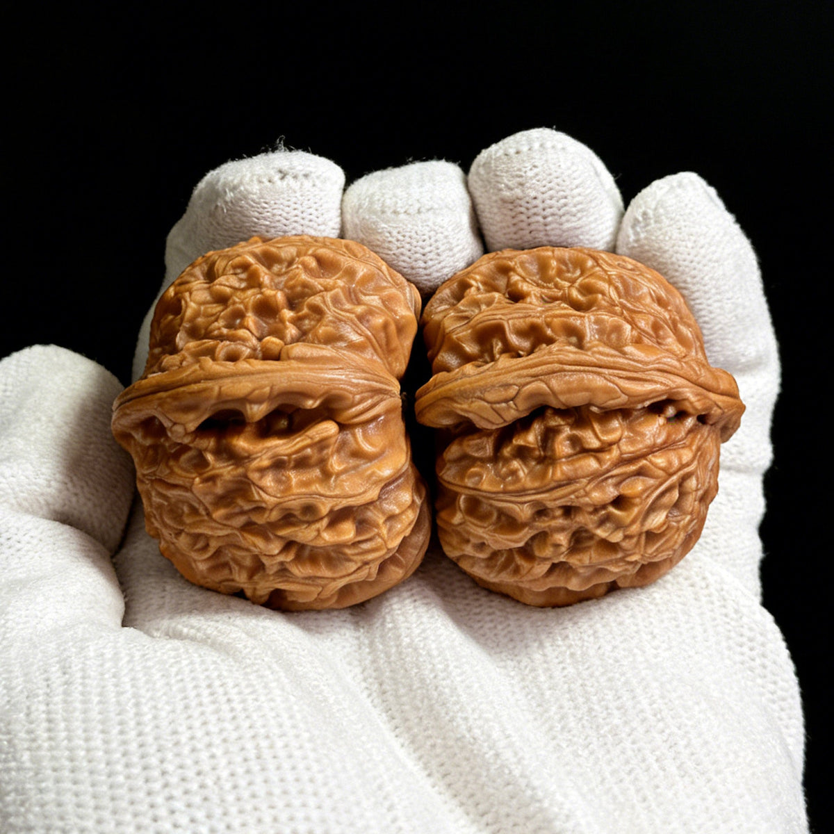 The "White Lion" (Bai Shi Zi) Pair | Boutique Grade | 39.0mm x 43.0mm | BSJ-401Cc - ThePatinaProject