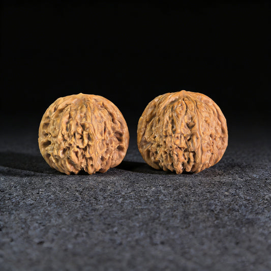 The "White Lion" (Bai Shi Zi) Pair | Extreme Squat | 40.0mm x 33.0mm | BSJ-404 - ThePatinaProject
