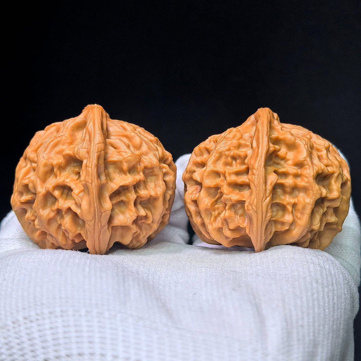 The "White Lion" (Bai Shizi) Collector-Grade Giant Deep-Belly Pair | 48.0mm x 45.0mm | Premium Pink-Tone Shell | BSJ-1351C - ThePatinaProject