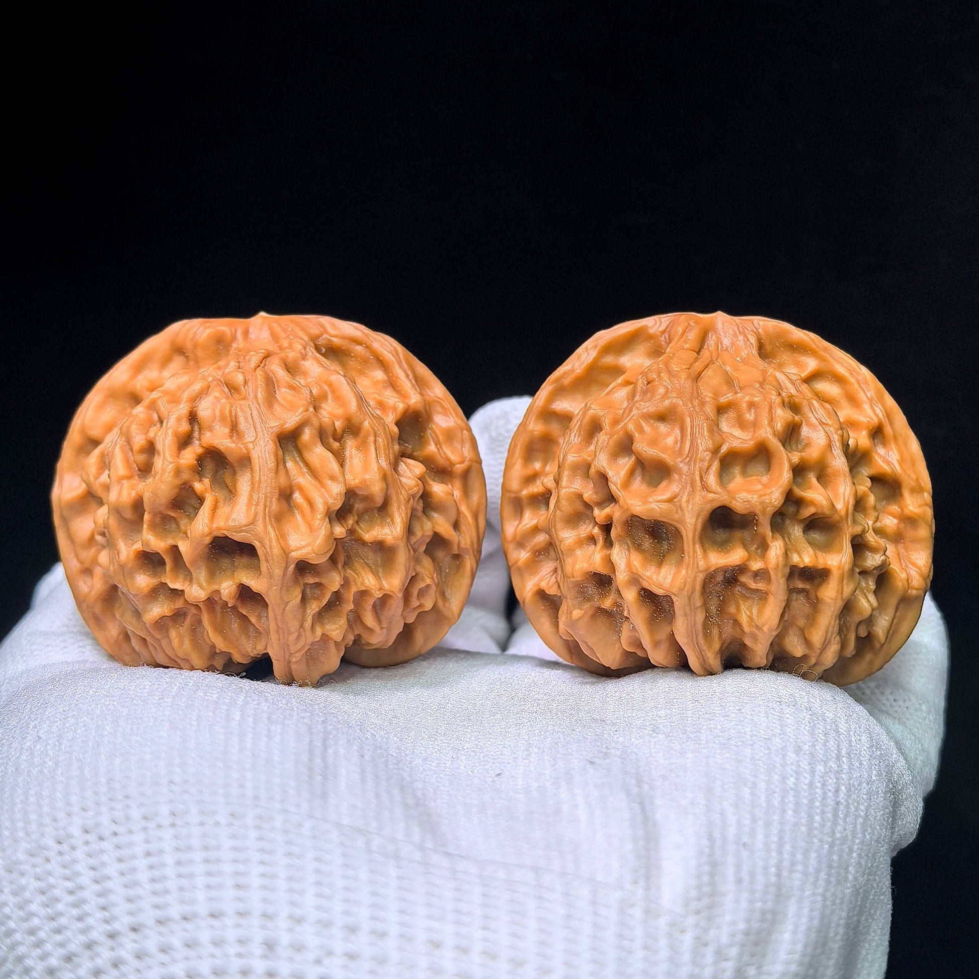 The "White Lion" (Bai Shizi) Collector-Grade Giant Deep-Belly Pair | 48.0mm x 45.0mm | Premium Pink-Tone Shell | BSJ-1351C - ThePatinaProject