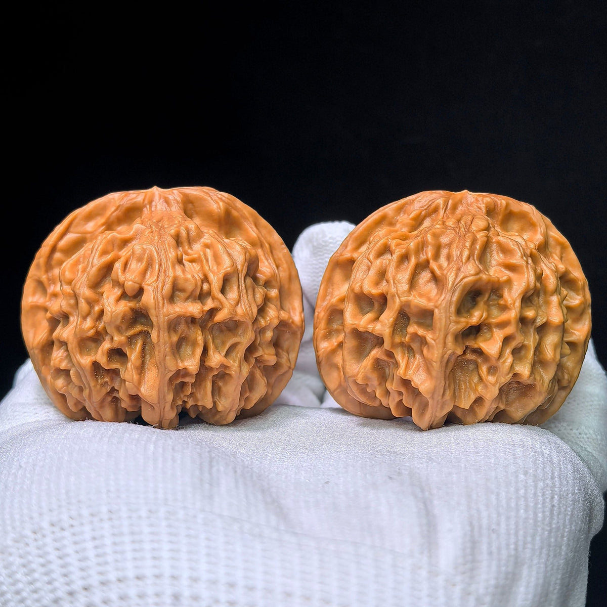 The "White Lion" (Bai Shizi) Collector-Grade Giant Deep-Belly Pair | 48.0mm x 45.0mm | Premium Pink-Tone Shell | BSJ-1351C - ThePatinaProject