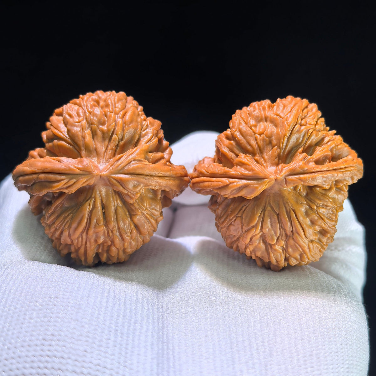 The "White Lion" (Baishizi) Matched Pair | 41.0mm x 41.0mm | BSZ-1201C - ThePatinaProject