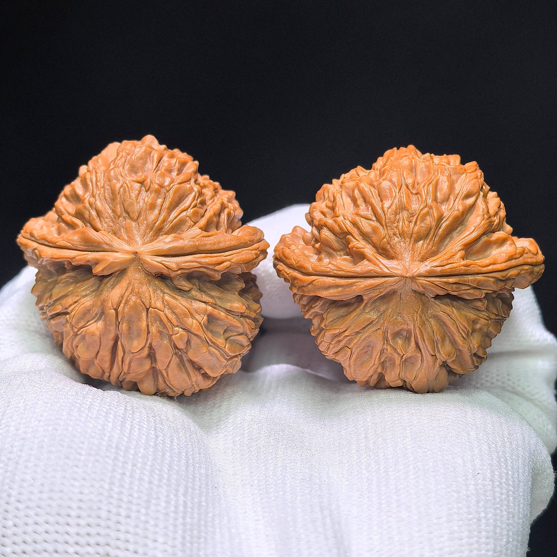 The "White Lion Half-Wall" (Bai Shizi Banbi) Pufferfish Silhouette Pair | 42.0mm x 29.0mm | BBZBB-1402E - ThePatinaProject