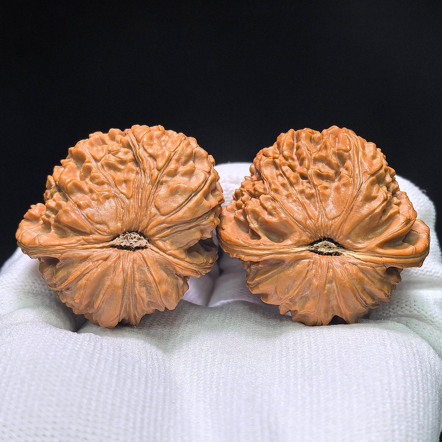 The "White Lion Half-Wall" (Bai Shizi Banbi) Pufferfish Silhouette Pair | 42.0mm x 29.0mm | BBZBB-1402E - ThePatinaProject