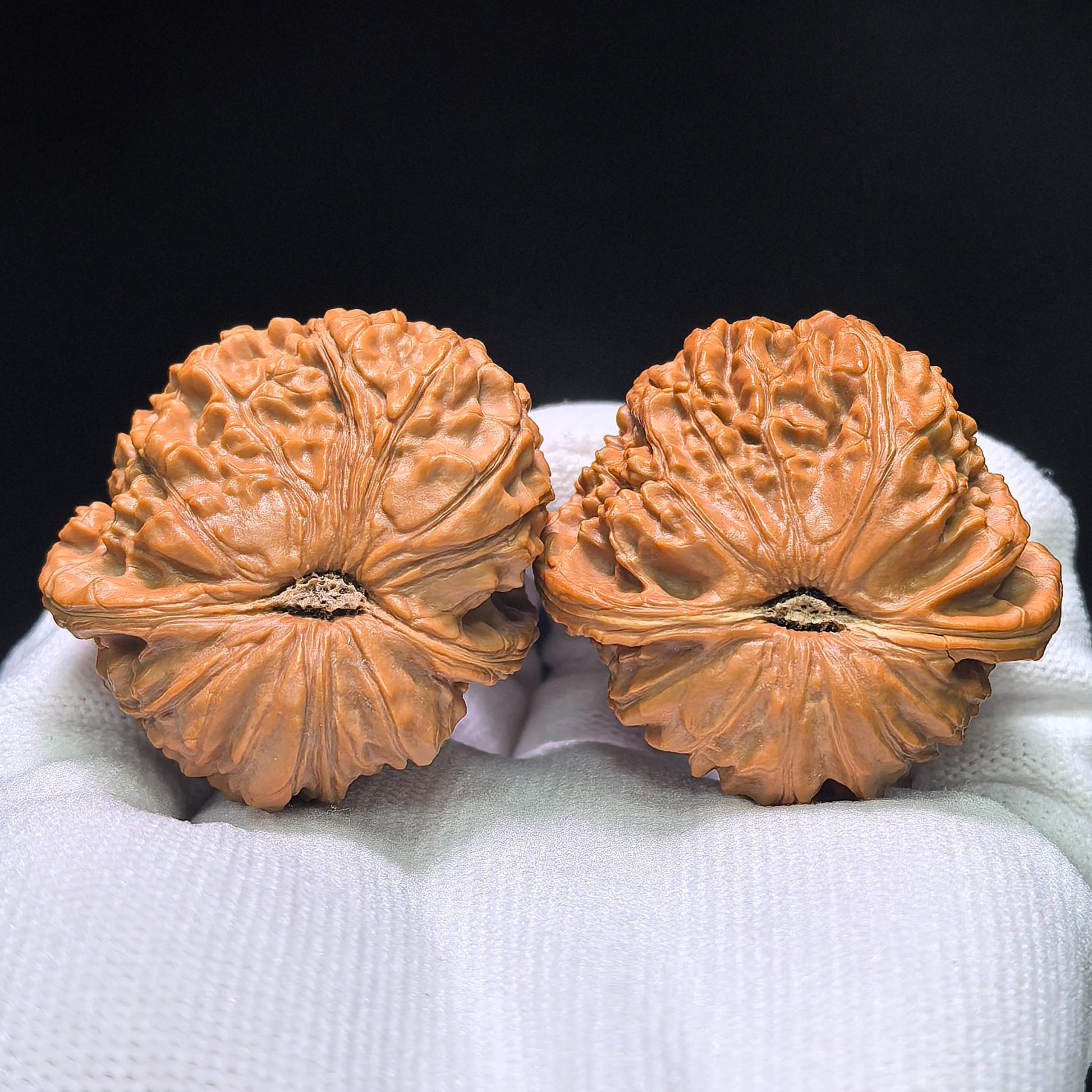 The "White Lion Half-Wall" (Bai Shizi Banbi) Pufferfish Silhouette Pair | 42.0mm x 29.0mm | BBZBB-1402E - ThePatinaProject