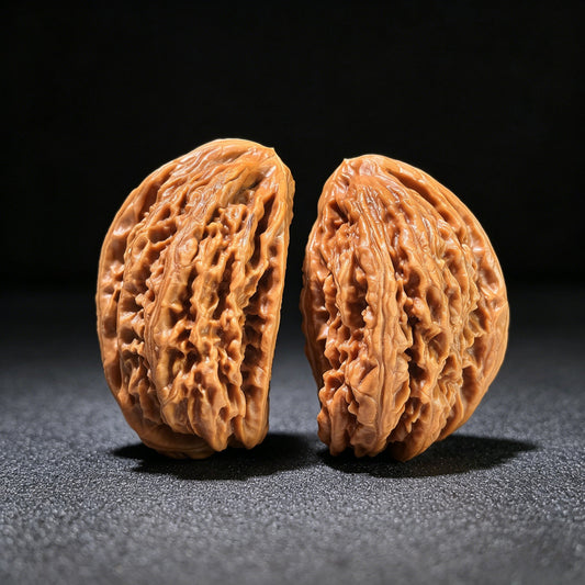 The "White Lion" Half-Wall (Ban Bi) Ergonomic Pair | Mixed Sizing | BSZBB-801 - ThePatinaProject