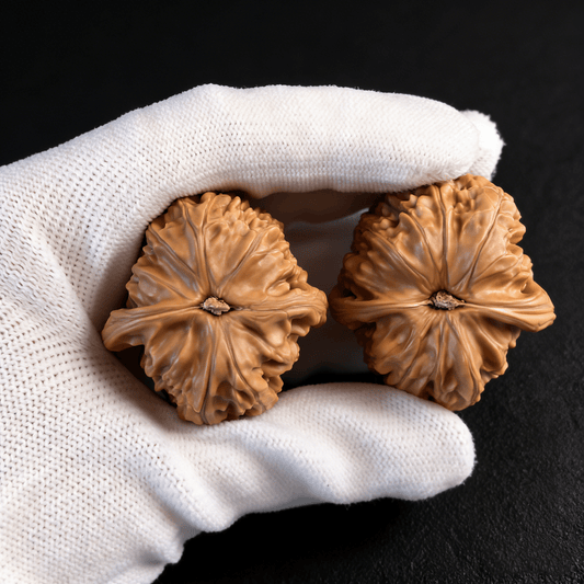 The "White Lion" Orb (Qiu Bai) – 40mm Perfectly Round Pair | WS-10 (Actual Item Pictured) - ThePatinaProject