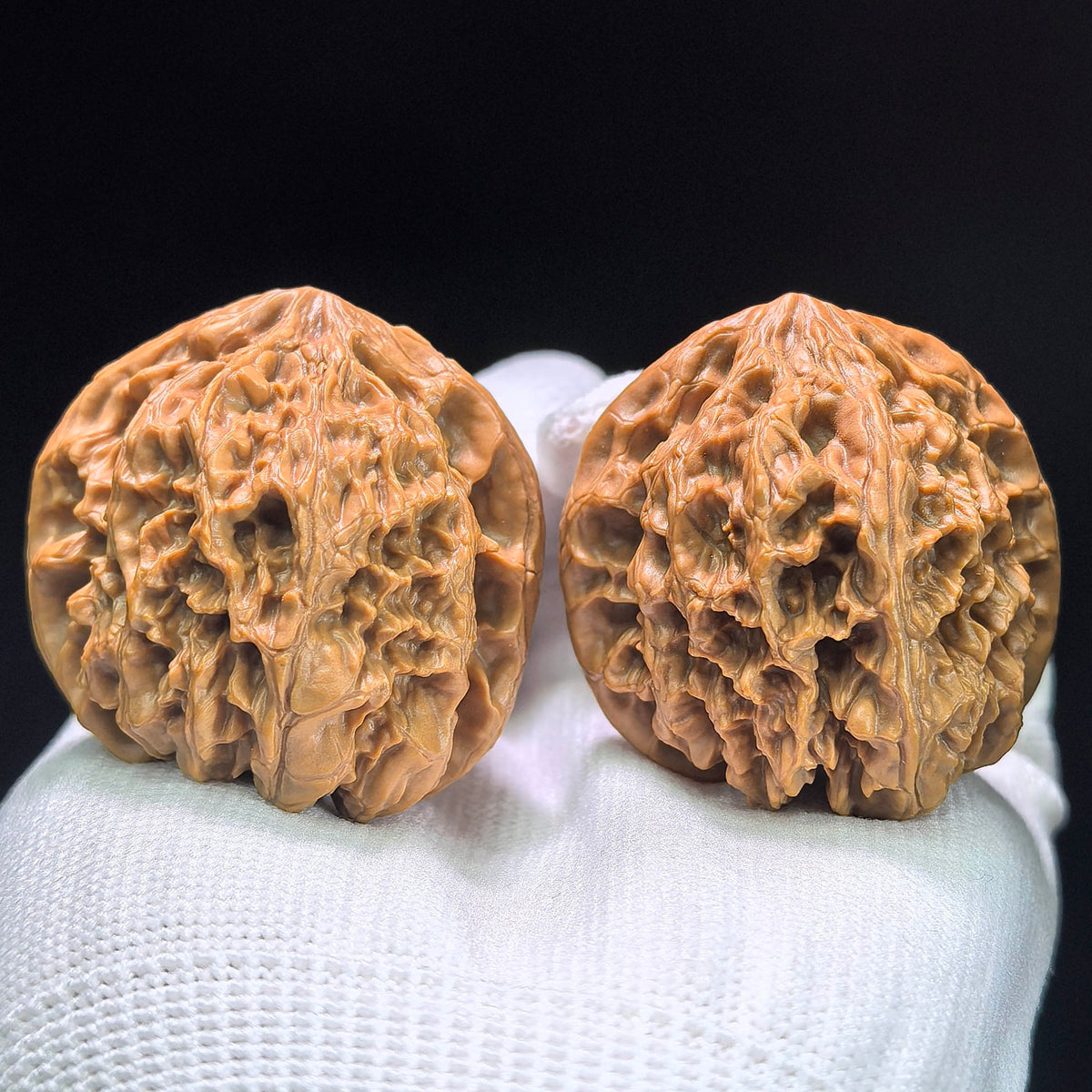 The "Wild Bison: Mythic Footprint" (Ye Niu Tian Can Jiao) Premium Low-Profile Pair | 41.0mm x 41.0mm | 1:1 Perfect Isometric Match | YN-1404 - ThePatinaProject