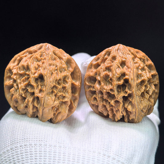 The "Wild Bison: Mythic Footprint" (Ye Niu Tian Can Jiao) Premium Low-Profile Pair | 41.0mm x 41.0mm | 1:1 Perfect Isometric Match | YN-1404 - ThePatinaProject