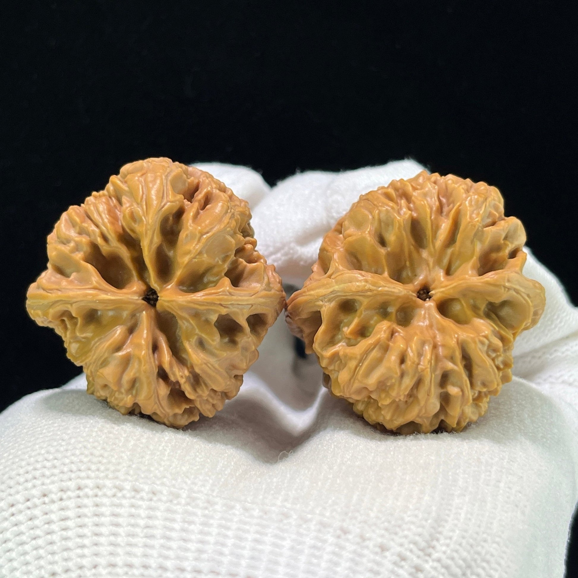The "Wild Bison" (Ye Niu) Premium Hand-Twirling Pair | 35.0mm x 37.0mm | Compact Shou Nian Format | YN-1101 - ThePatinaProject