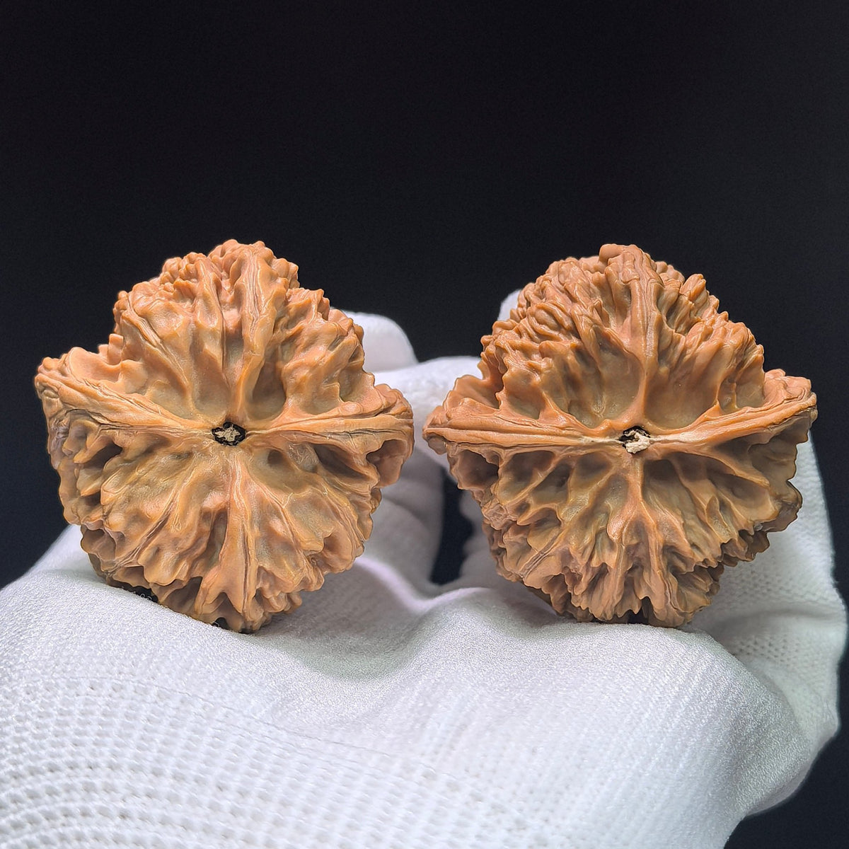The "Wild Bison" (Ye Niu) Premium Heavy-Bone Ingot Pair | 44.0mm x 44.0mm | 1:1 Perfect Match | YN-1403 - ThePatinaProject