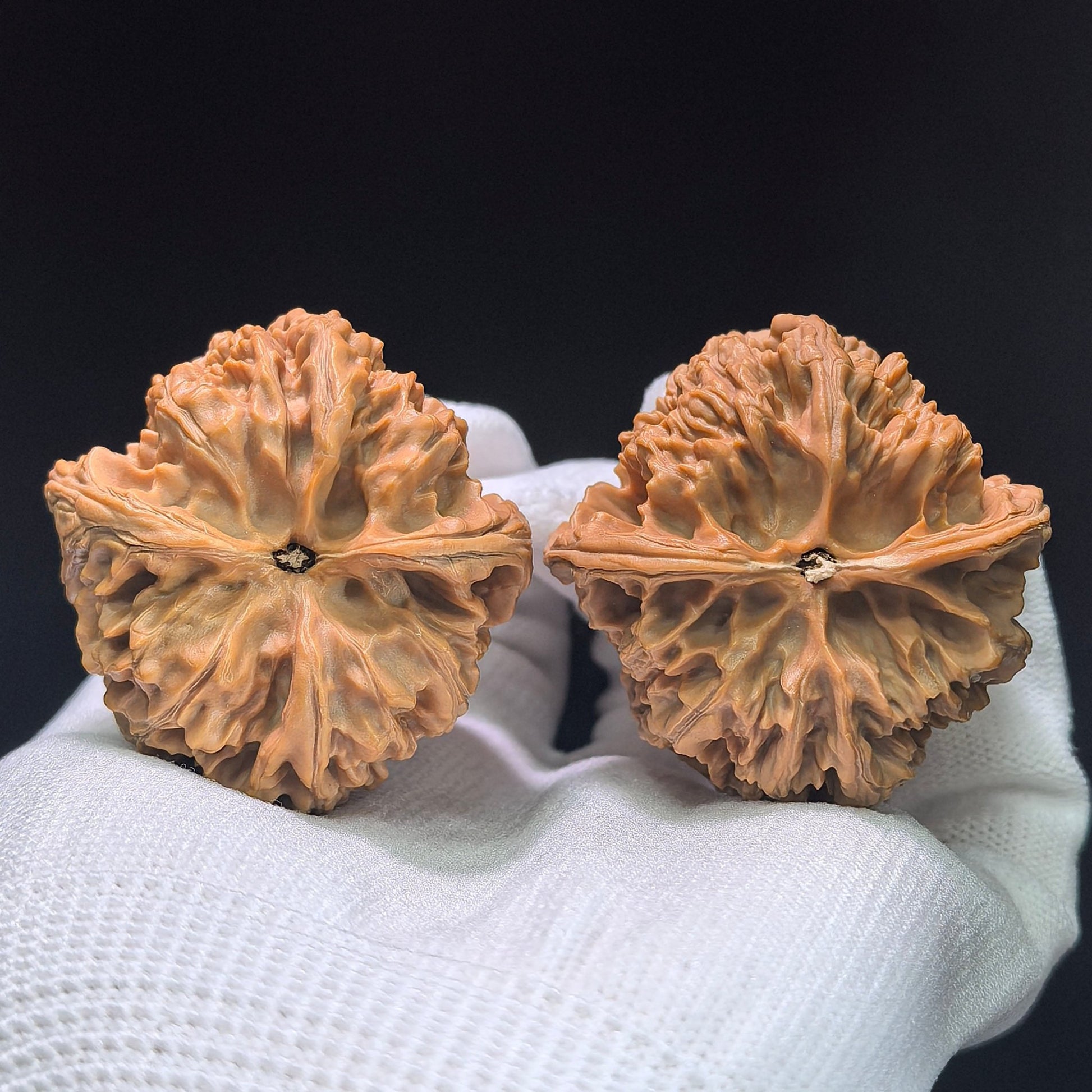 The "Wild Bison" (Ye Niu) Premium Heavy-Bone Ingot Pair | 44.0mm x 44.0mm | 1:1 Perfect Match | YN-1403 - ThePatinaProject