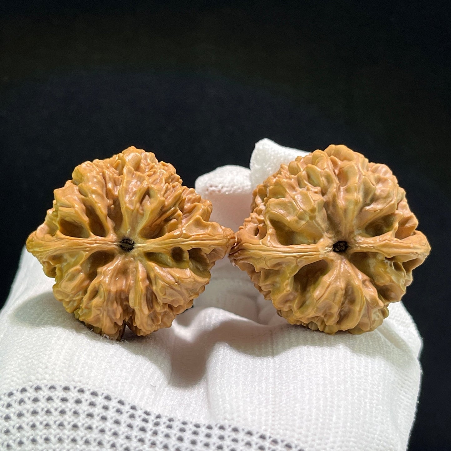 The "Wild Bull" (Ye Niu) Pair | 40.0mm x 37.0mm | YN-703 - ThePatinaProject