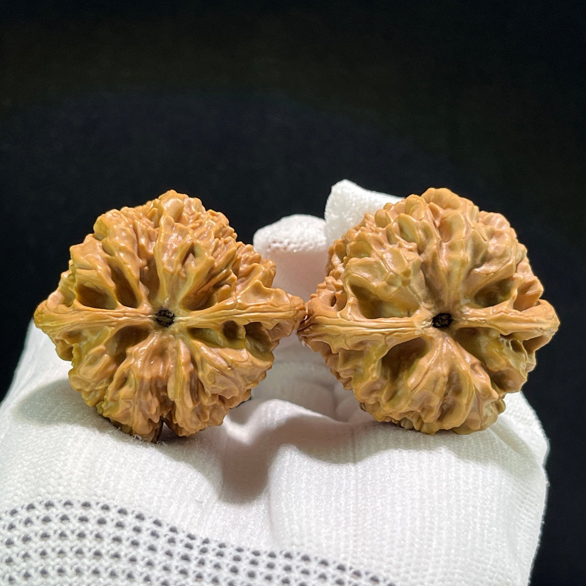 The "Wild Bull" (Ye Niu) Pair | 40.0mm x 37.0mm | YN-703 - ThePatinaProject