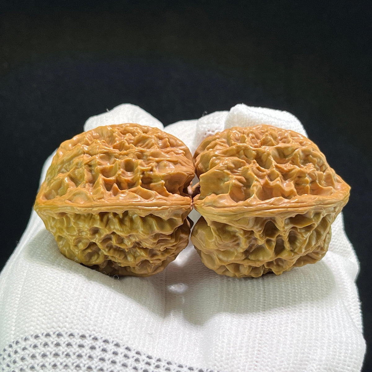 The "Wild Bull" (Ye Niu) Pair | 40.0mm x 37.0mm | YN-703 - ThePatinaProject