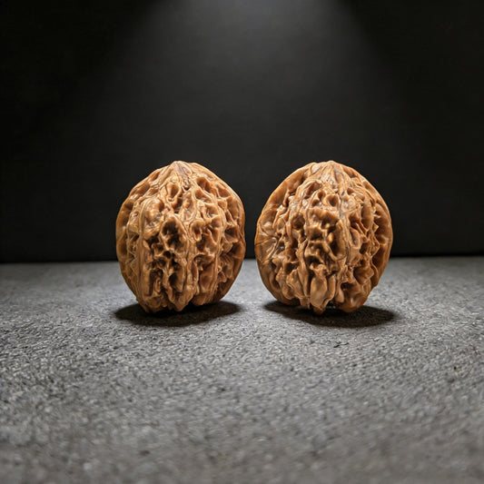 The "Wild Bull" (Yeniu) Lion Head Pair | 41.0mm | YN-05 - ThePatinaProject