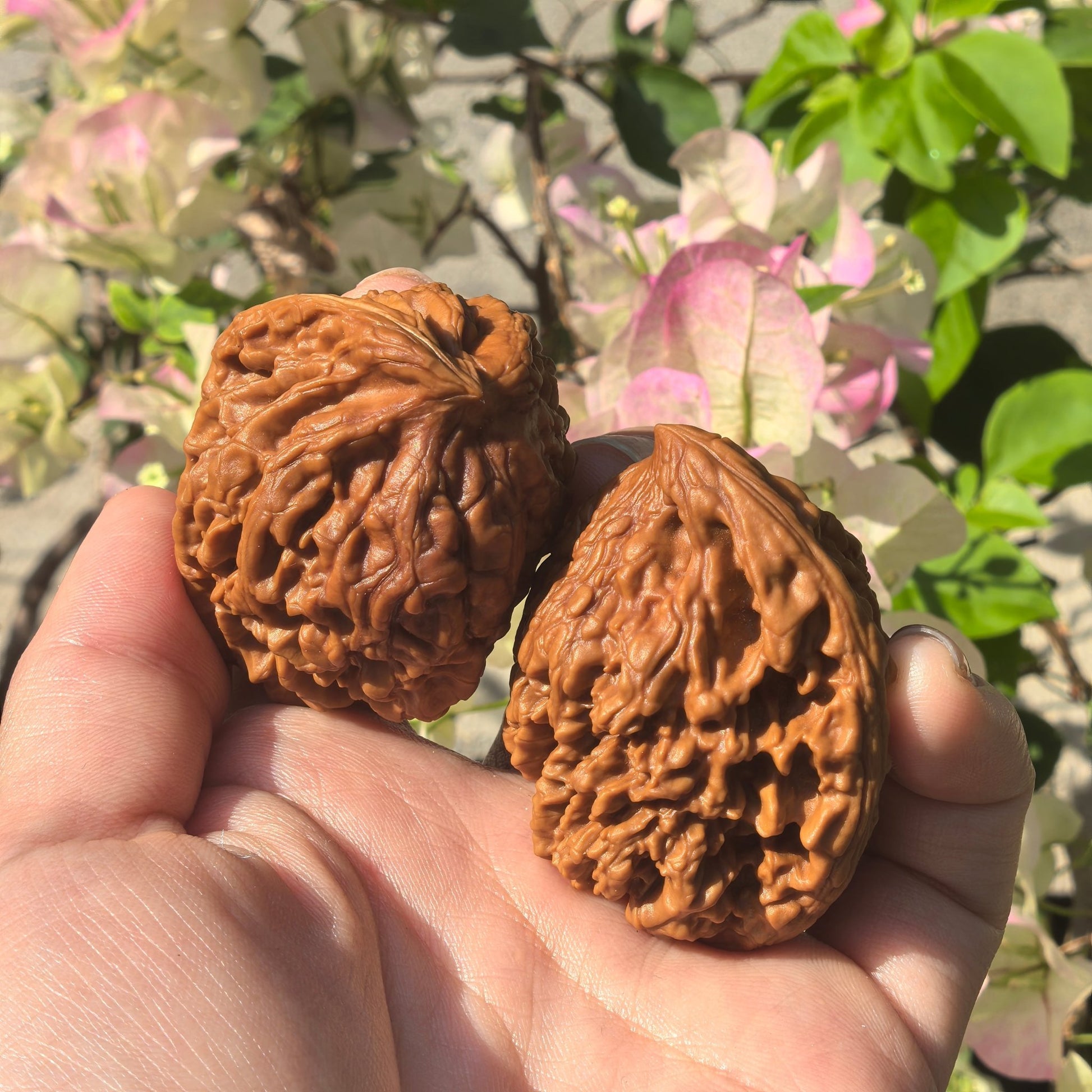 The Wild "Mountain Eagle" Guan Mao Pair | Boutique Grade | 40.0mm x 38.0mm | GMZSD-001 - ThePatinaProject