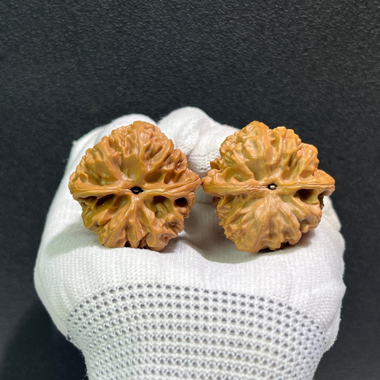 The "Wild Ox" (Ye Niu) Pair | 37.0mm x 36.0mm | YN-404 - ThePatinaProject