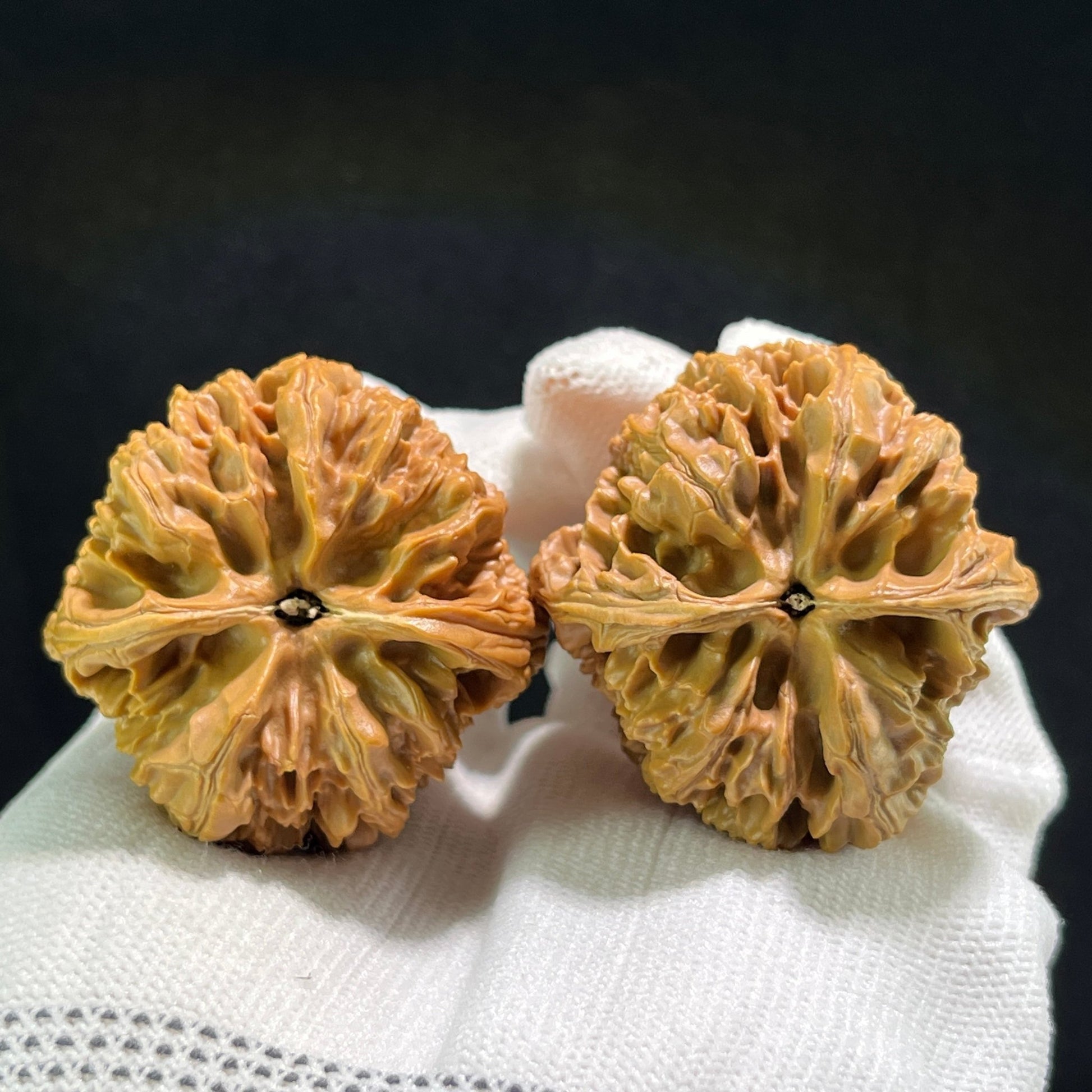 The "Wild Ox" (Ye Niu) Pair | 43.0mm x 42.0mm | YN-701 - ThePatinaProject