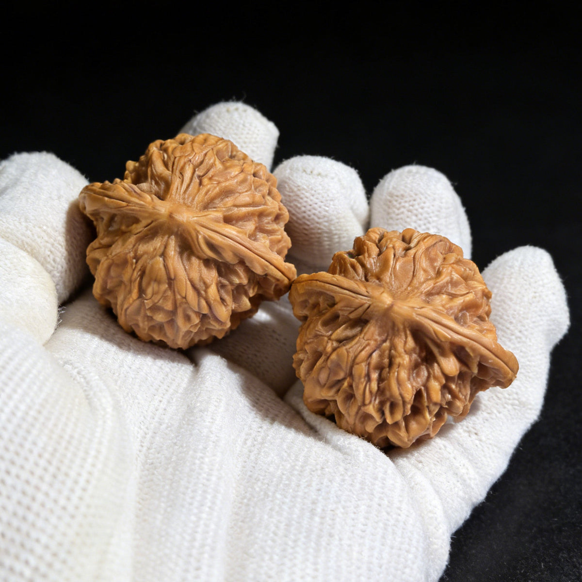 The "Wild Plain Hidden Tip" (Ye Su Men Jian) Lion Head Pair | 38.0mm x 36.0mm | YSMJ-002 - ThePatinaProject