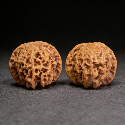 The "Wild Plain Hidden Tip" (Ye Su Men Jian) Lion Head Pair | 38.0mm x 36.0mm | YSMJ-002 - ThePatinaProject