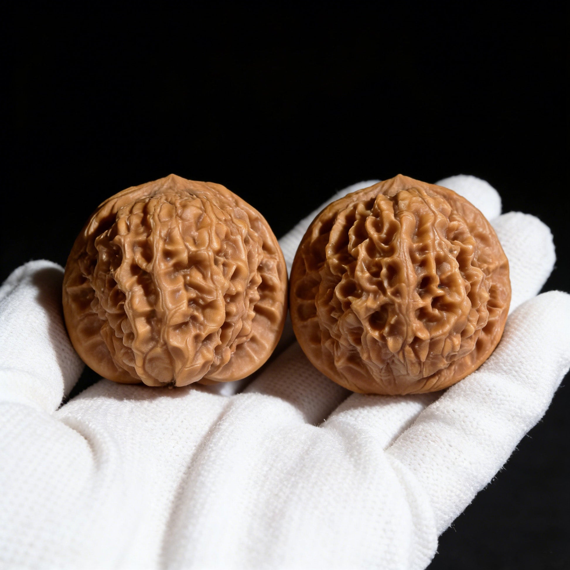 The "Wild Plain Hidden Tip" (Ye Su Men Jian) Lion Head Pair | 38.0mm x 36.0mm | YSMJ-002 - ThePatinaProject