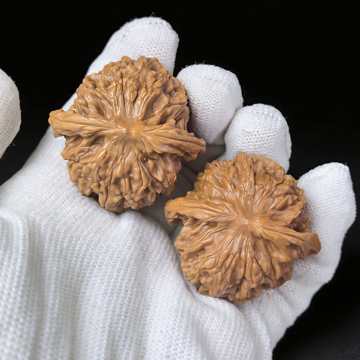 The "Wild Plain Hidden Tip" (Ye Su Men Jian) Lion Head Pair | 40.0mm x 39.0mm | YSMJ-001 - ThePatinaProject