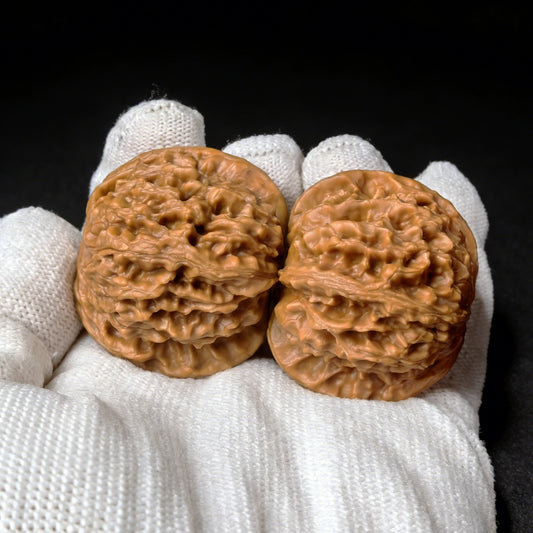 The "Wild Plain Hidden Tip" (Ye Su Men Jian) Lion Head Pair | 40.0mm x 39.0mm | YSMJ-001 - ThePatinaProject