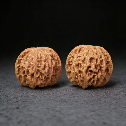 The "Wild Plain Hidden Tip" (Ye Su Men Jian) Lion Head Pair | 40.0mm x 39.0mm | YSMJ-001 - ThePatinaProject
