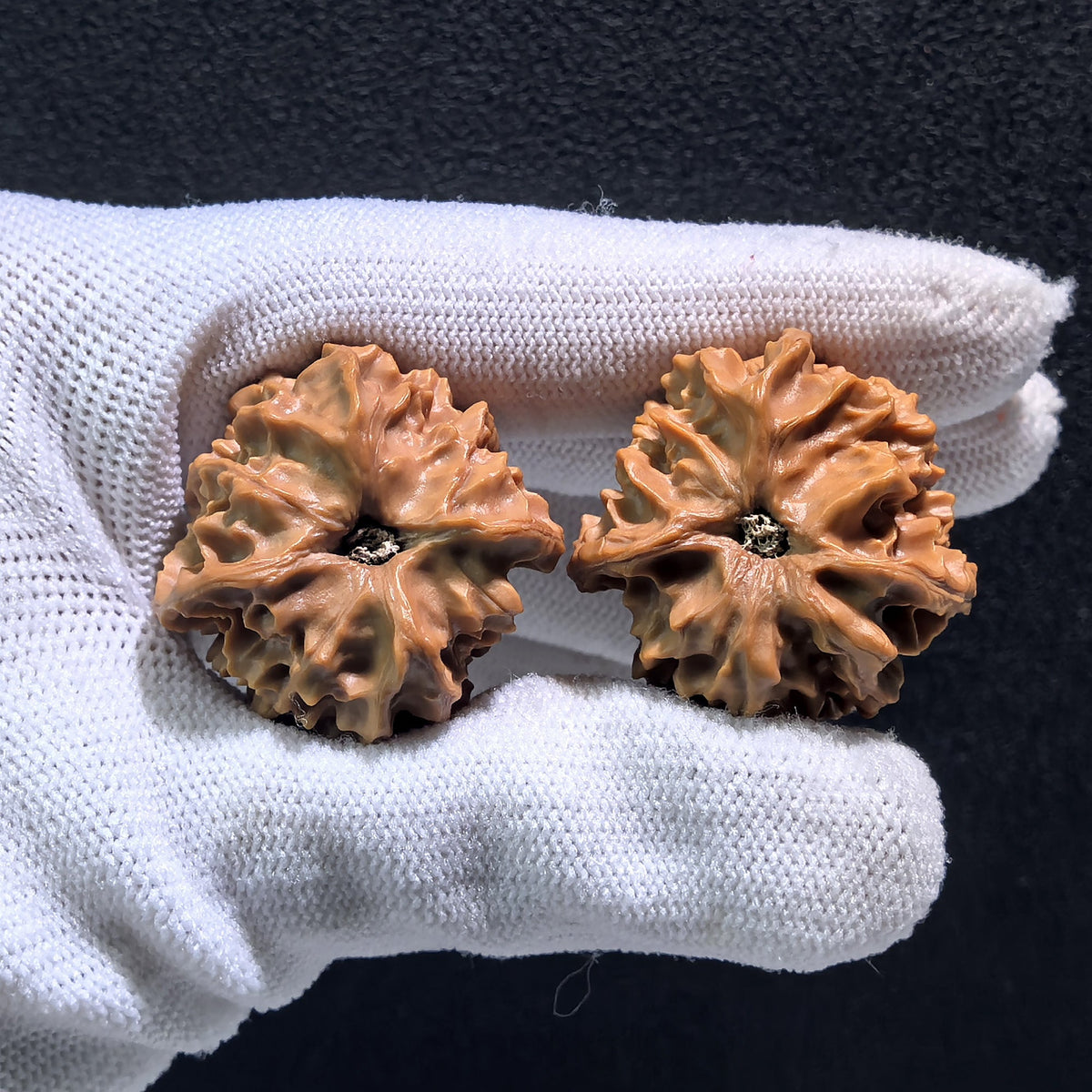 The Wild "Qi Shan" T-Shaped Three-Ridge Pair | Boutique Grade | 30.0mm x 30.0mm | QS-301 - ThePatinaProject