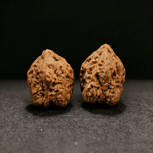 The "Wild Qiu Zi" – 31mm Sharp Ridge Acupressure Pair | QZ-86 (Actual Item Pictured) - ThePatinaProject