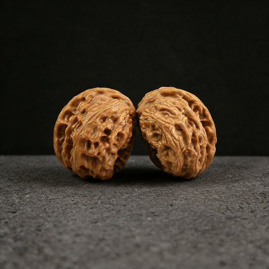 The "Wild Wolf Half-Wall" (Yelang Banbi) Pair | 39.0mm | BBYL-01 - ThePatinaProject