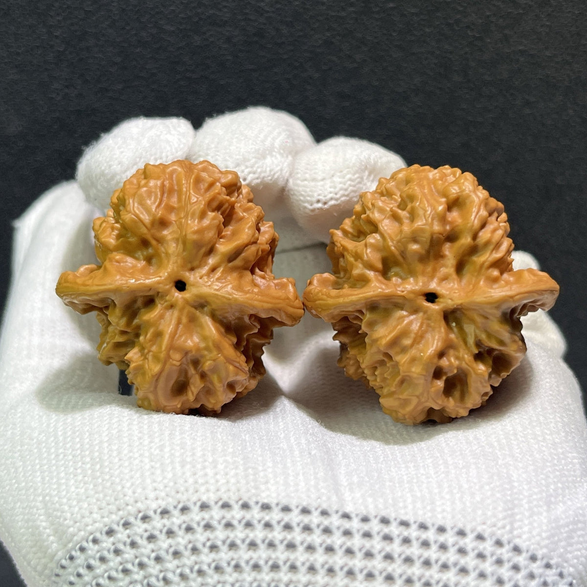The "Wild Wolf" (Ye Lang) Pair | 36.0mm x 38.0mm | YL-401 - ThePatinaProject
