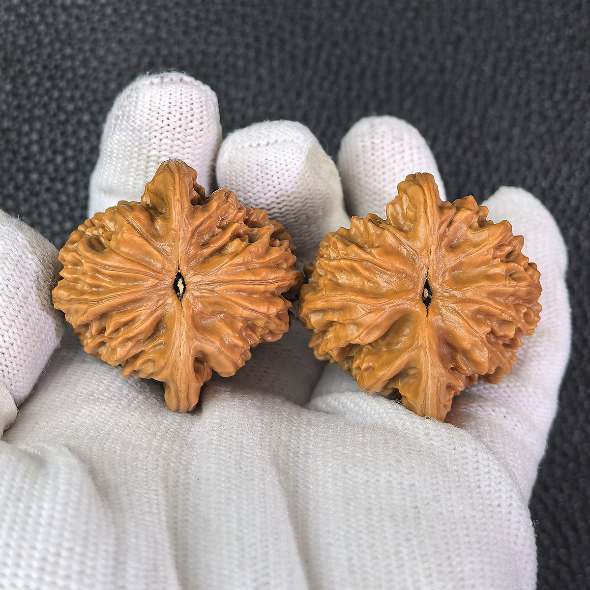 The "Xia Yun Ling" Lion Head Pair | 36.0mm x 36.0mm | XYL-401 - ThePatinaProject