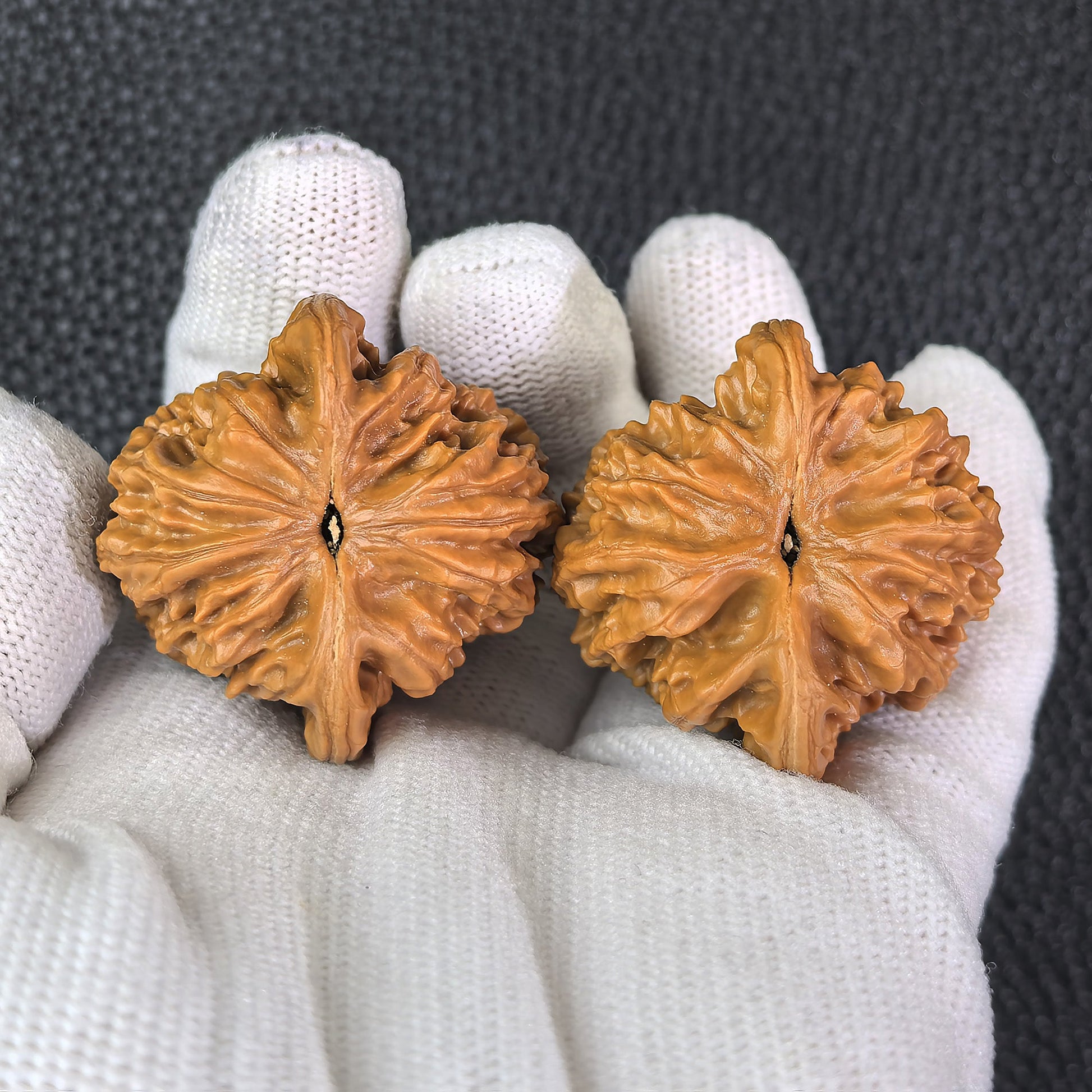 The "Xia Yun Ling" Lion Head Pair | 36.0mm x 36.0mm | XYL-401 - ThePatinaProject