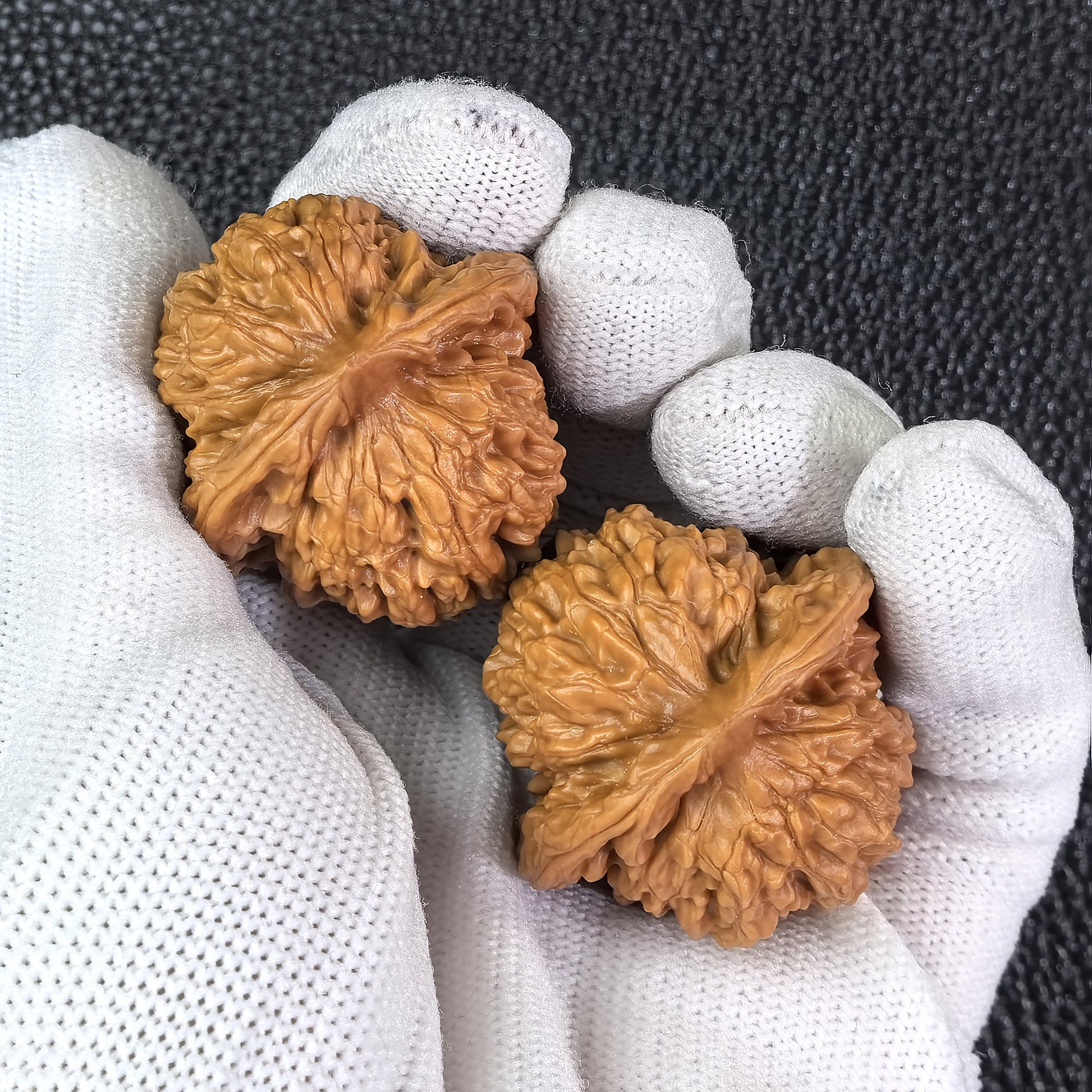 The "Xia Yun Ling" Lion Head Pair | 36.0mm x 36.0mm | XYL-401 - ThePatinaProject