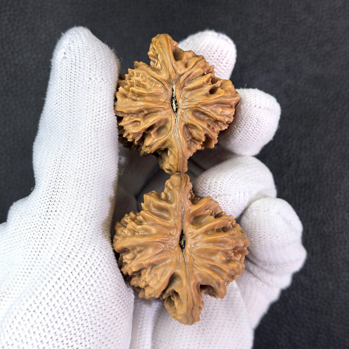 The "Xia Yun Ling" Lion Head Pair | 40.0mm x 37.0mm | XYL-402 - ThePatinaProject